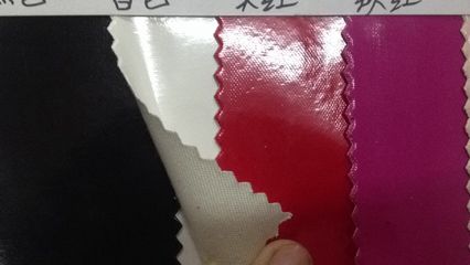 高品质镜面皮革的多元应用 乐器保护套的理想选择